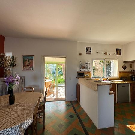 La Boissetane, Maison Provencale Avec Piscine Et Jardin, Au Pied Du Luberon Saint-Martin-de-Castillon 외부 사진