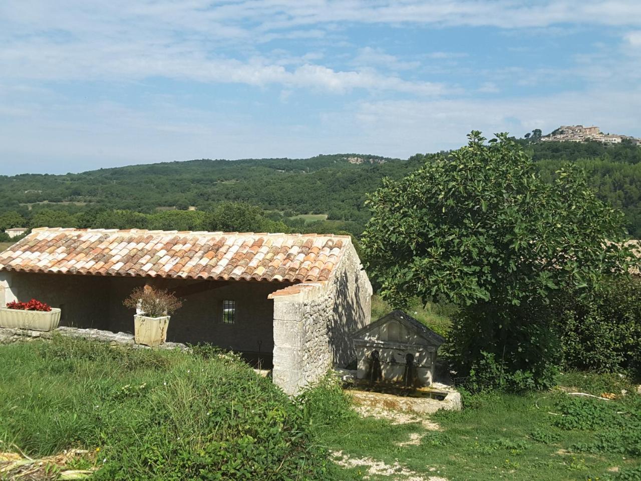 La Boissetane, Maison Provencale Avec Piscine Et Jardin, Au Pied Du Luberon Saint-Martin-de-Castillon 외부 사진
